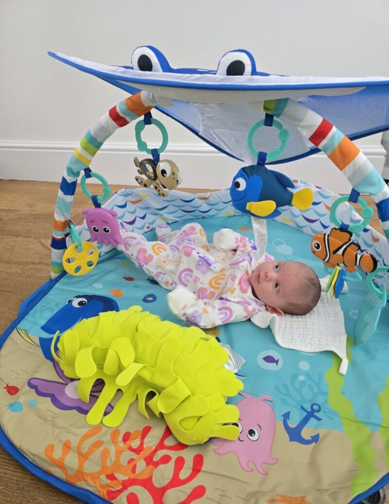 Best Toys for 0-6 Month Olds: Development & Milestones